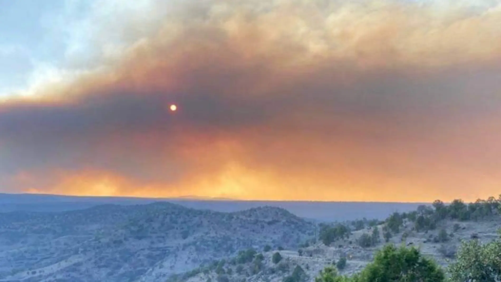 incendio forestal en madera (2)